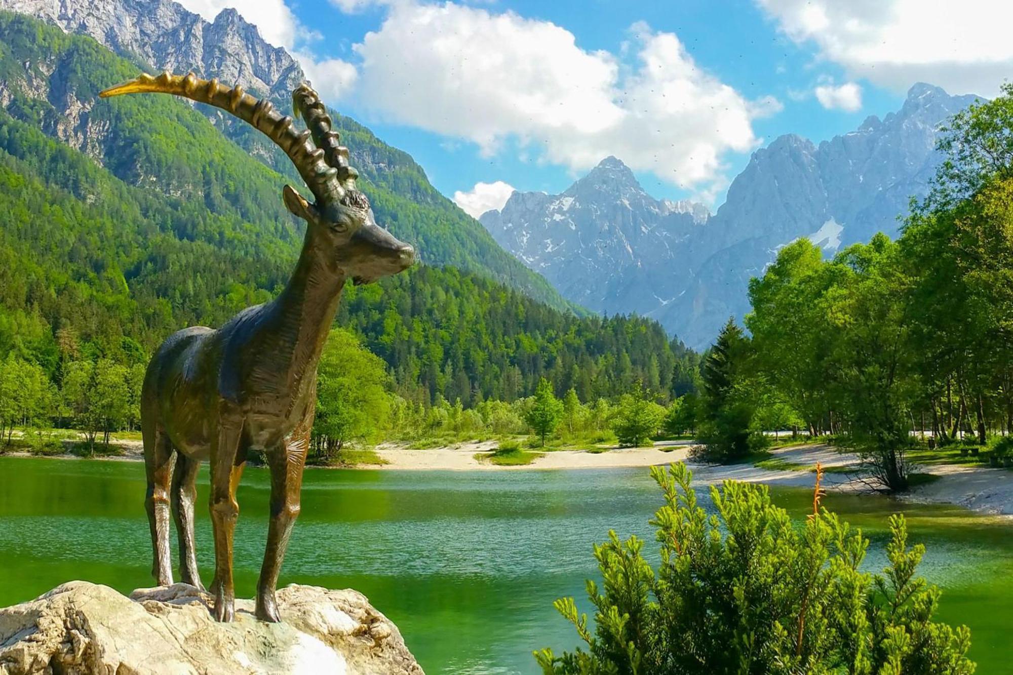 Alpine Retreat Gaja Kranjska Gora - Happy Rentals Екстериор снимка